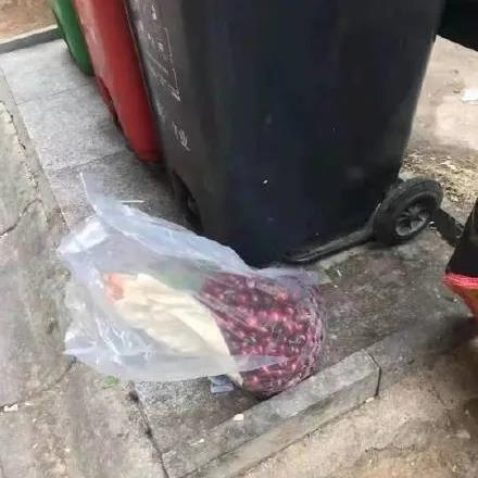 車?yán)遄幼杂闪藚s不敢吃？佳歌幫你另辟蹊徑暢享美食