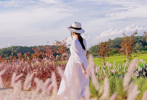 高品質(zhì)生活，佳歌集成灶你值得擁有！